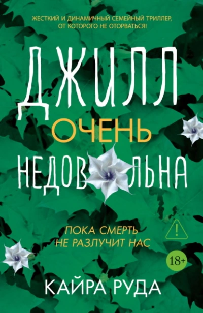 Джилл очень недовольна - Руда Кайра - современные аудиокниги попаданцы мр3 слушать на лучшем сайте booksaudio-online.com