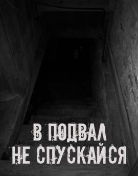 В подвал не спускайся - Автор неизвестен - современные аудиокниги попаданцы мр3 слушать на лучшем сайте booksaudio-online.com