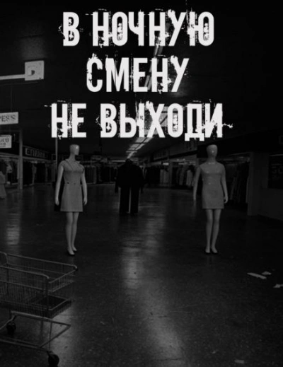 В ночную смену не выходи - современные аудиокниги попаданцы мр3 слушать на лучшем сайте booksaudio-online.com