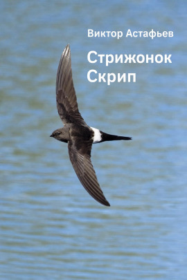 Стрижонок Скрип - Виктор Астафьев - современные аудиокниги попаданцы мр3 слушать на лучшем сайте booksaudio-online.com