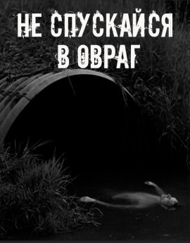 Не спускайся в овраг - Автор неизвестен - современные аудиокниги попаданцы мр3 слушать на лучшем сайте booksaudio-online.com