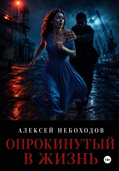 Опрокинутый в жизнь - Небоходов Алексей - современные аудиокниги попаданцы мр3 слушать на лучшем сайте booksaudio-online.com