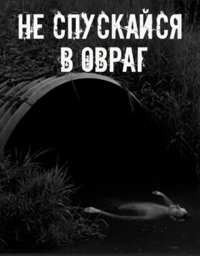 Не спускайся в овраг - современные аудиокниги попаданцы мр3 слушать на лучшем сайте booksaudio-online.com