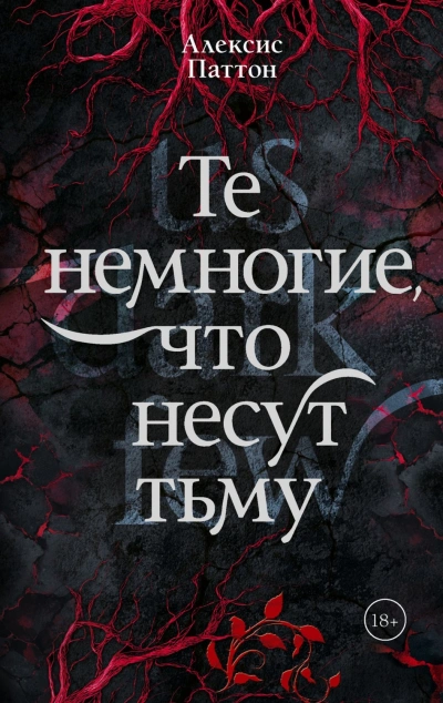 Те немногие, что несут тьму - Паттон Алексис - современные аудиокниги попаданцы мр3 слушать на лучшем сайте booksaudio-online.com