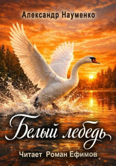 Белый лебедь - Науменко Александр - современные аудиокниги попаданцы мр3 слушать на лучшем сайте booksaudio-online.com