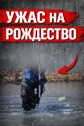 Исчезла в Рождество - Автор неизвестен - современные аудиокниги попаданцы мр3 слушать на лучшем сайте booksaudio-online.com