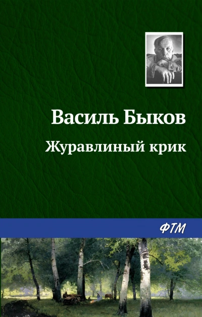 Журавлиный крик - Быков Василий - современные аудиокниги попаданцы мр3 слушать на лучшем сайте booksaudio-online.com