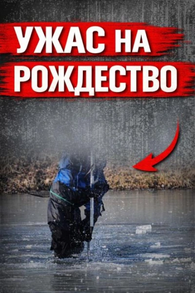 Исчезла в Рождество - современные аудиокниги попаданцы мр3 слушать на лучшем сайте booksaudio-online.com