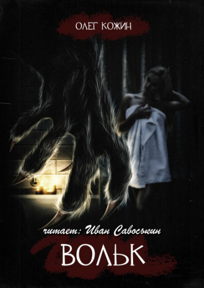 Вольк - Олег Кожин - современные аудиокниги попаданцы мр3 слушать на лучшем сайте booksaudio-online.com