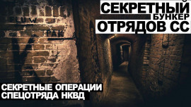 Дело номер 011 - Виктор Глебов - современные аудиокниги попаданцы мр3 слушать на лучшем сайте booksaudio-online.com