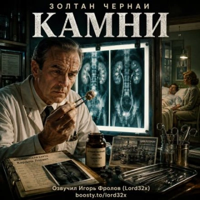 Камни - Чернаи Золтан - современные аудиокниги попаданцы мр3 слушать на лучшем сайте booksaudio-online.com