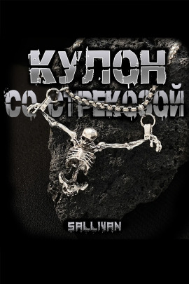 Кулон со стрекозой - Sallivan - современные аудиокниги попаданцы мр3 слушать на лучшем сайте booksaudio-online.com