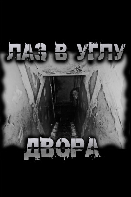 Лаз в углу двора - Роман Чёрный - современные аудиокниги попаданцы мр3 слушать на лучшем сайте booksaudio-online.com