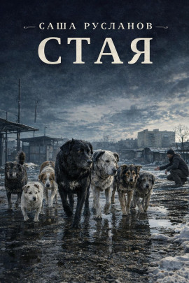 Стая - Саша Русланов - современные аудиокниги попаданцы мр3 слушать на лучшем сайте booksaudio-online.com