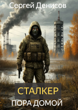 Сталкер. Пора домой - Автор неизвестен - современные аудиокниги попаданцы мр3 слушать на лучшем сайте booksaudio-online.com