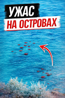Смерть у скал - Автор неизвестен - современные аудиокниги попаданцы мр3 слушать на лучшем сайте booksaudio-online.com