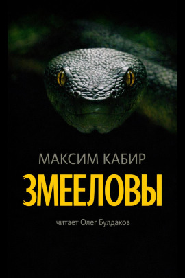 Змееловы. Исцеление - Максим Кабир - современные аудиокниги попаданцы мр3 слушать на лучшем сайте booksaudio-online.com