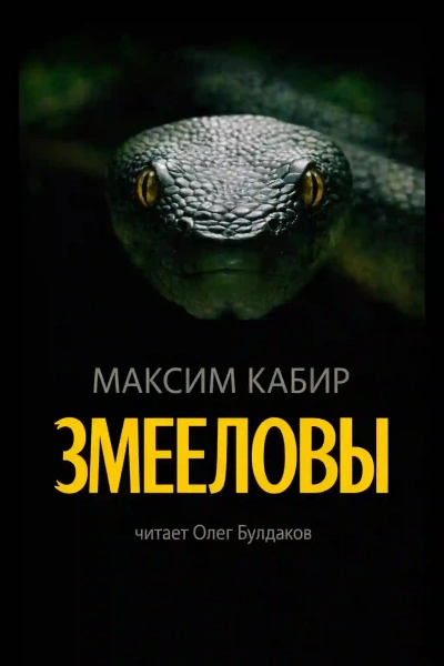 Змееловы. Исцеление - Кабир Максим - современные аудиокниги попаданцы мр3 слушать на лучшем сайте booksaudio-online.com