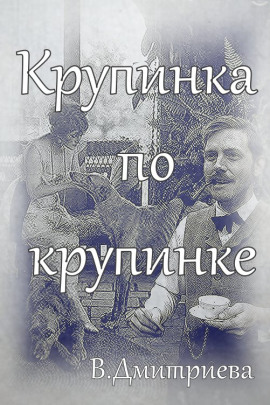 Крупинка по крупинке - Валентина Дмитриева - современные аудиокниги попаданцы мр3 слушать на лучшем сайте booksaudio-online.com