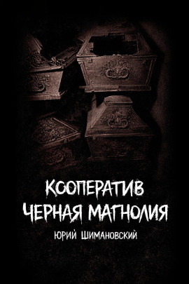 Кооператив "Черная Магнолия" - Юрий Шимановский - современные аудиокниги попаданцы мр3 слушать на лучшем сайте booksaudio-online.com