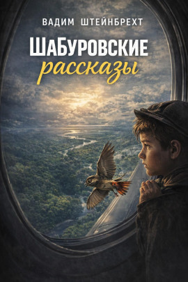 Шабуровские рассказы - Вадим Штейнбрехт - современные аудиокниги попаданцы мр3 слушать на лучшем сайте booksaudio-online.com