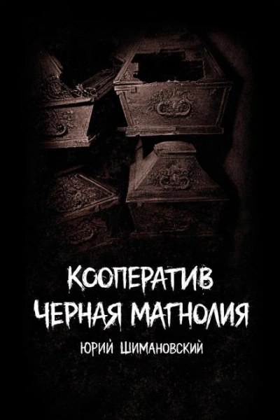 Кооператив "Черная Магнолия" - Шимановский Юрий - современные аудиокниги попаданцы мр3 слушать на лучшем сайте booksaudio-online.com