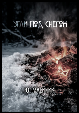Угли под снегом - Юлия Олейник - современные аудиокниги попаданцы мр3 слушать на лучшем сайте booksaudio-online.com