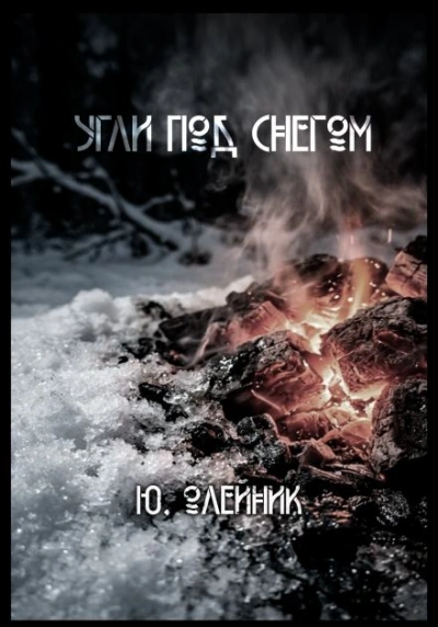 Угли под снегом - Олейник Юлия - современные аудиокниги попаданцы мр3 слушать на лучшем сайте booksaudio-online.com