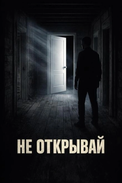 Дверь - Покинтелица Евгений - современные аудиокниги попаданцы мр3 слушать на лучшем сайте booksaudio-online.com