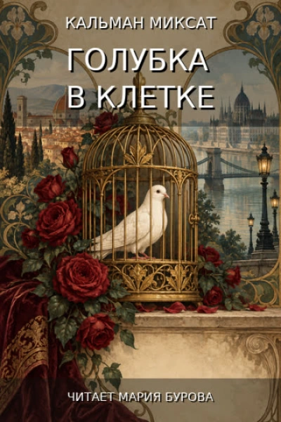 Голубка в клетке - Миксат Кальман - современные аудиокниги попаданцы мр3 слушать на лучшем сайте booksaudio-online.com