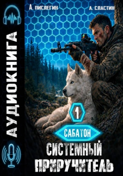 Системный приручитель 1 - Пислегин Алексей - современные аудиокниги попаданцы мр3 слушать на лучшем сайте booksaudio-online.com