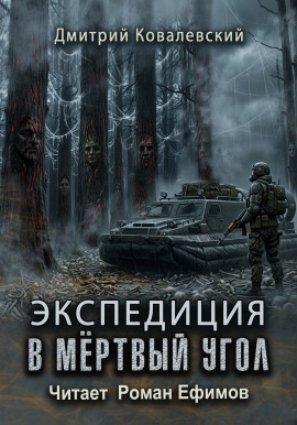 Экспедиция в мёртвый угол - Дмитрий Ковалевский - современные аудиокниги попаданцы мр3 слушать на лучшем сайте booksaudio-online.com