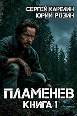 Пламенев. Книга 1 - Сергей Карелин - современные аудиокниги попаданцы мр3 слушать на лучшем сайте booksaudio-online.com