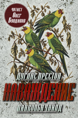 Наваждение - Линкольн Чайлд - современные аудиокниги попаданцы мр3 слушать на лучшем сайте booksaudio-online.com